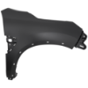 Picture of Fender
