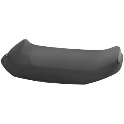 Picture of Hood