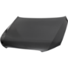 Picture of Hood