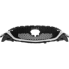 Picture of Grille Assembly