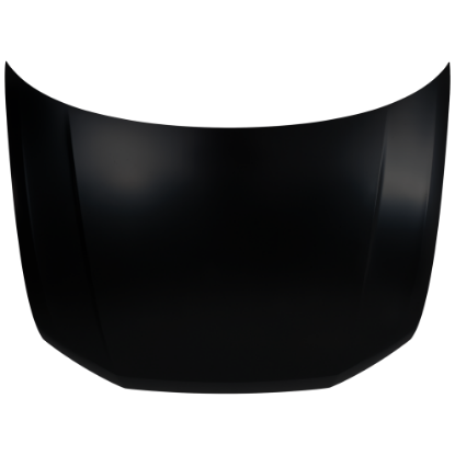 Picture of Hood