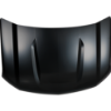 Picture of Hood