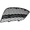 Picture of Bumper Grille