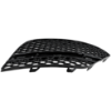Picture of Bumper Grille