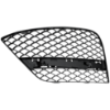 Picture of Bumper Grille