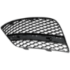 Picture of Bumper Grille