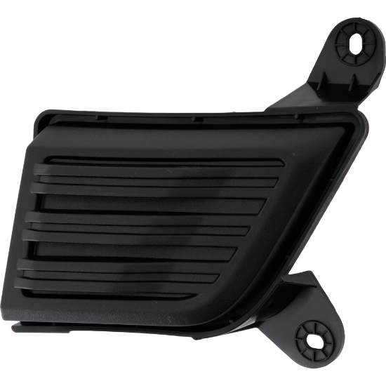 Picture of Fog Light Cover