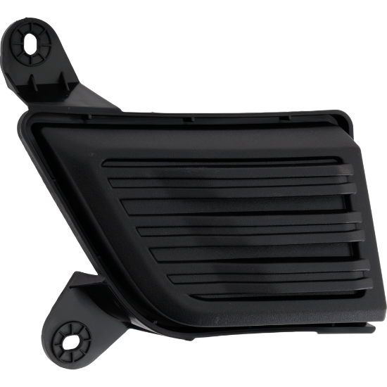 Picture of Fog Light Cover