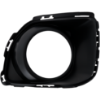 Picture of Fog Light Trim
