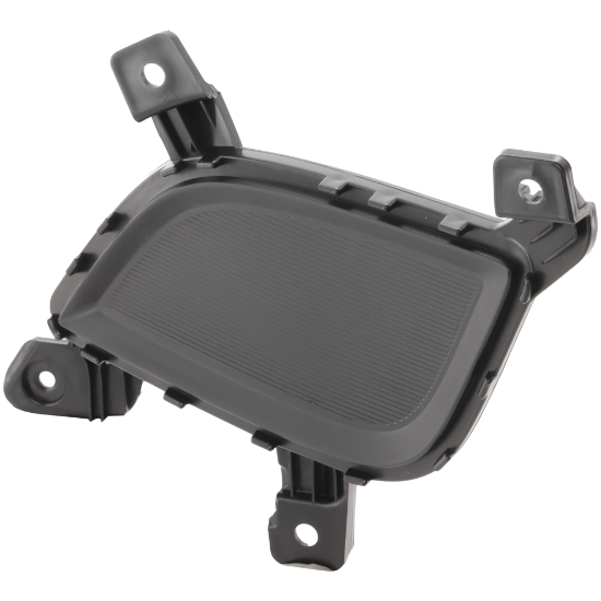 Picture of Fog Light Cover