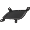 Picture of Fog Light Cover