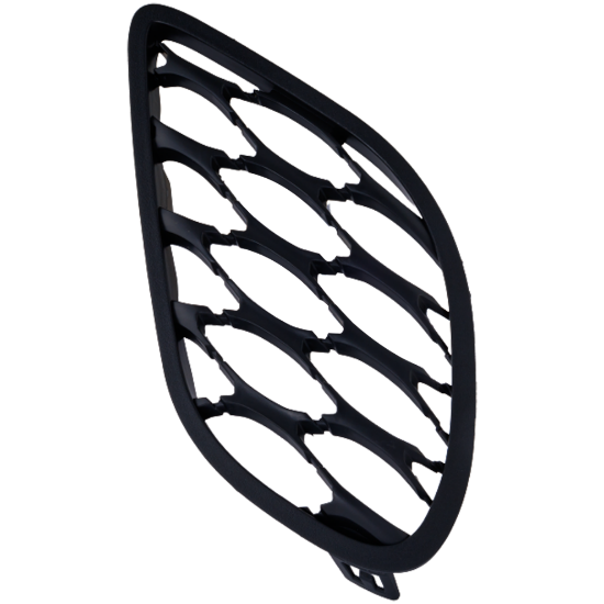 Picture of Fog Light Cover