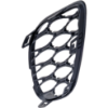 Picture of Fog Light Cover