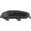 Picture of Fog Light Cover