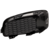Picture of Fog Light Cover