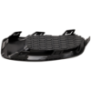 Picture of Fog Light Cover