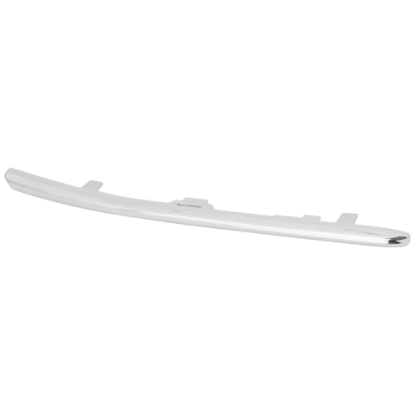 Picture of Bumper Trim