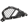 Picture of Fog Light Cover