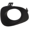 Picture of Fog Light Trim