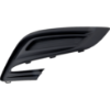 Picture of Fog Light Cover