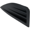 Picture of Fog Light Cover