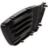 Picture of Fog Light Cover
