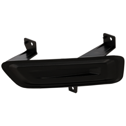 Picture of Fog Light Cover