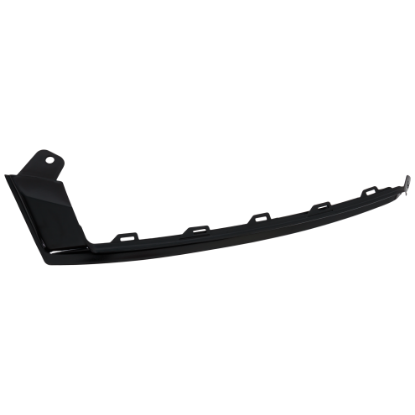Picture of Bumper Trim