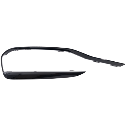 Picture of Bumper Trim