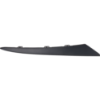 Picture of Grille Trim