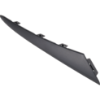 Picture of Grille Trim