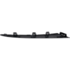 Picture of Grille Trim