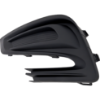 Picture of Fog Light Cover
