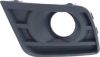 Picture of Fog Light Trim