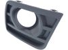 Picture of Fog Light Trim