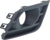 Picture of Fog Light Trim