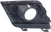 Picture of Fog Light Trim