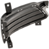 Picture of Fog Light Cover