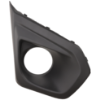 Picture of Fog Light Cover