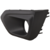Picture of Fog Light Cover