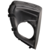Picture of Fog Light Cover