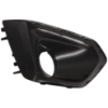 Picture of Fog Light Cover