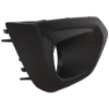 Picture of Fog Light Cover