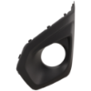 Picture of Fog Light Cover