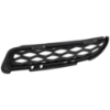 Picture of Bumper Grille