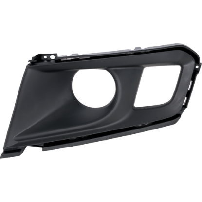 Picture of Fog Light Trim
