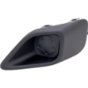 Picture of Fog Light Trim
