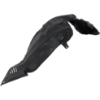 Picture of Fender Liner