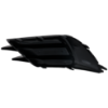 Picture of Fog Light Cover