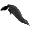 Picture of Fender Liner